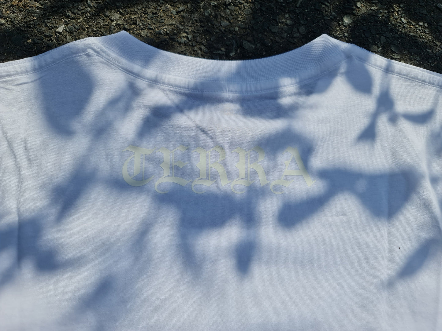 TERRA BASIC 02
